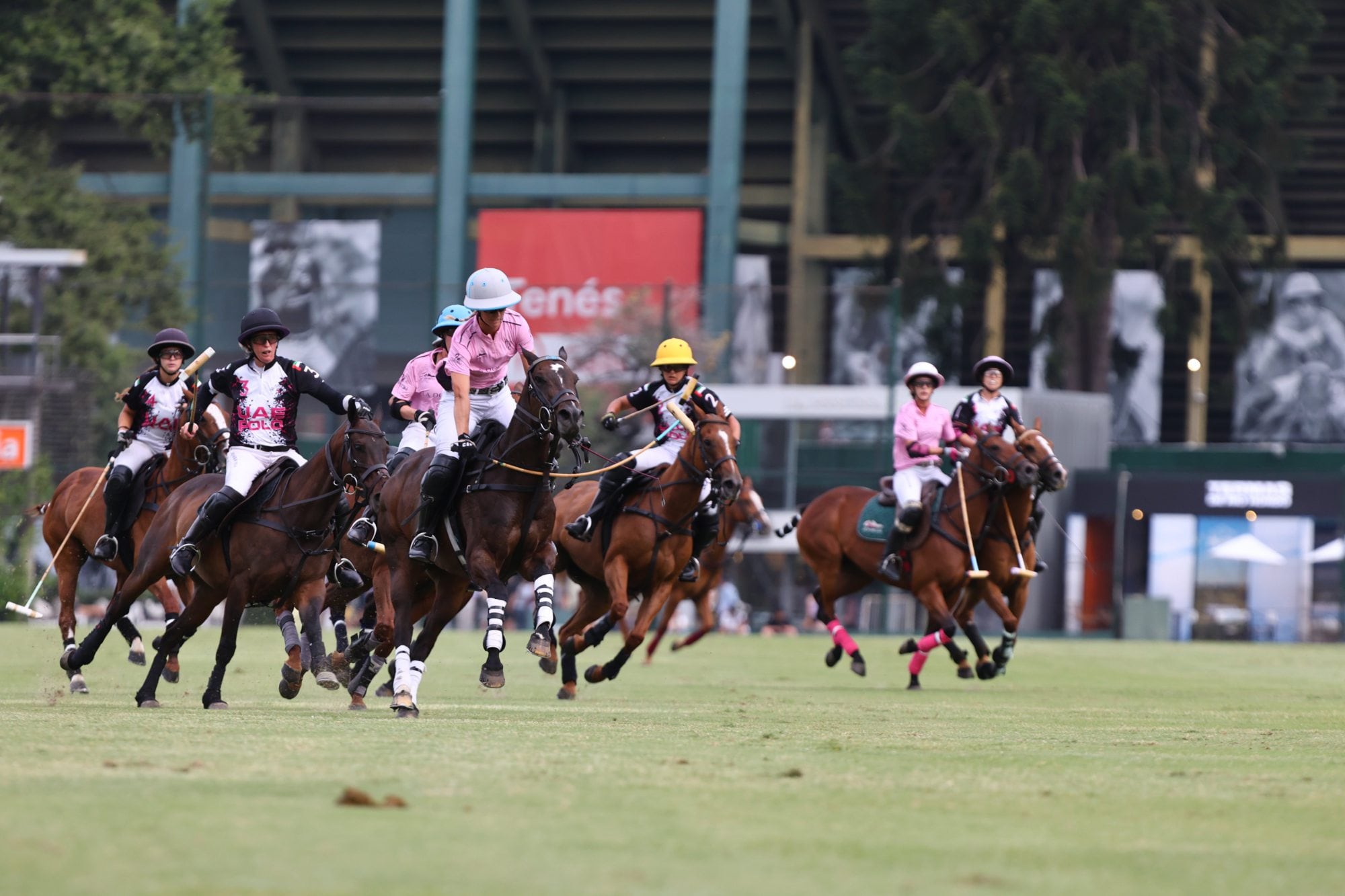 Entusiamo y buena caballada no faltaron en una final que resultó un buen espectáculo, más allá de errores de taqueo y algunos conceptuales.