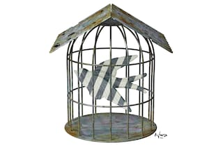 Cárceles sin privilegios