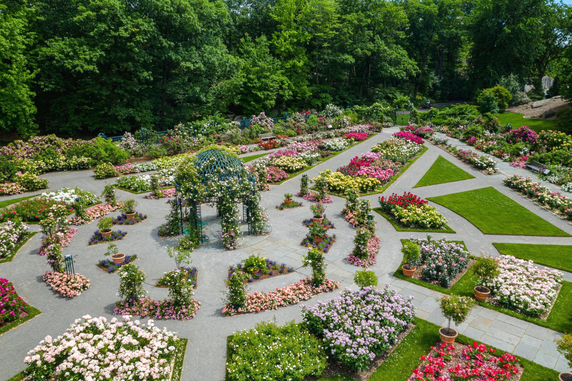 La rosaleda en el Jardín Botánico de New York en plena primavera