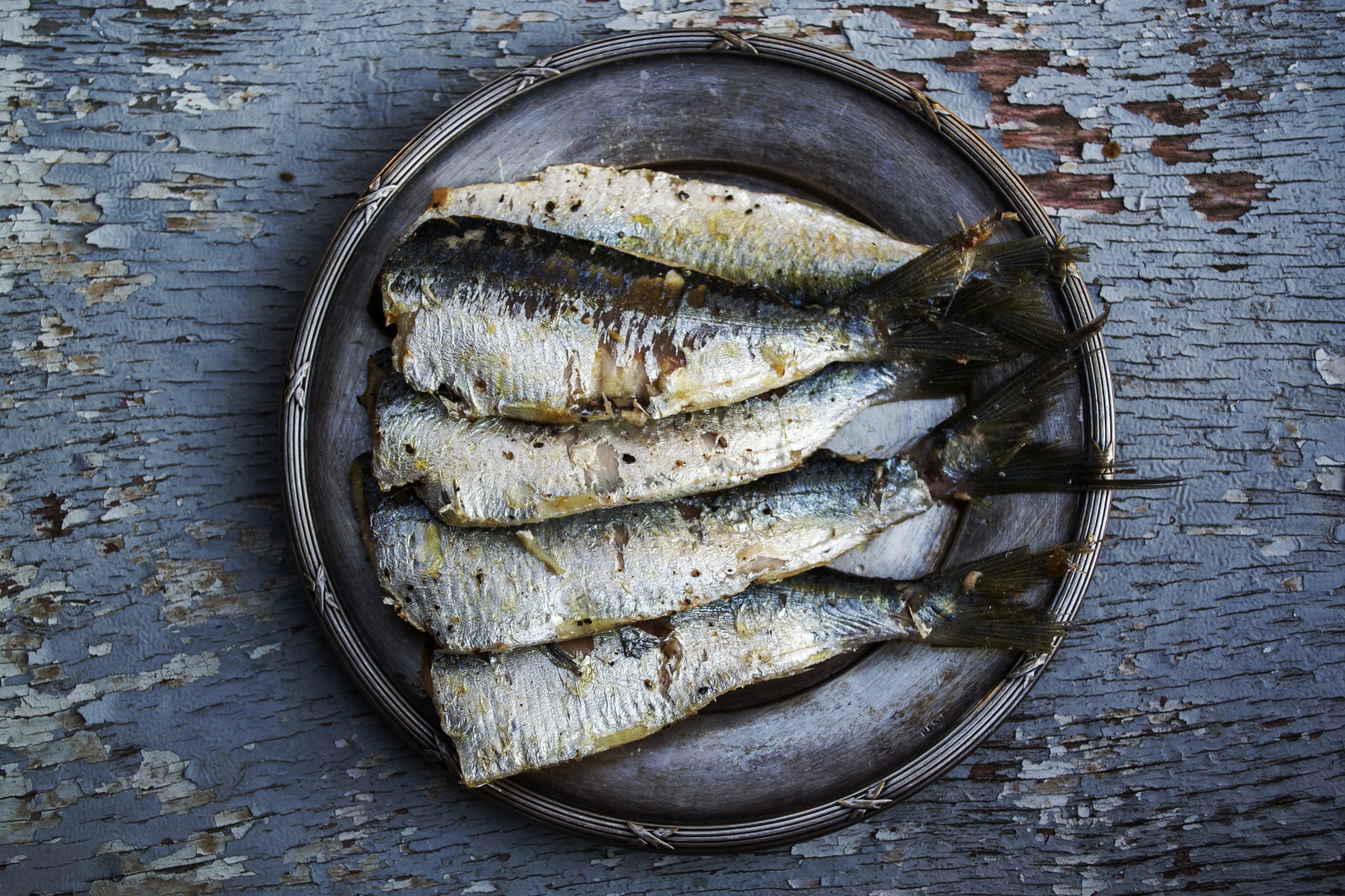 El pescado contiene grasas saludables, minerales y proteína (Foto de carácter ilustrativo: PIXABAY)