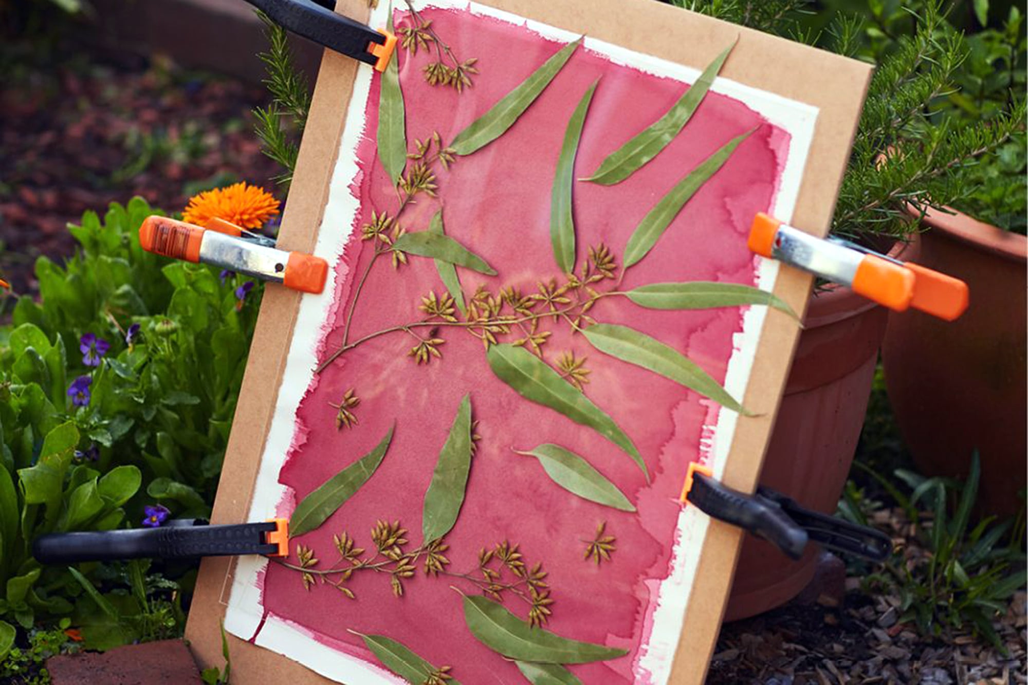 El material de nuestro jardín puede transformarse en la materia prima de nuevas imágenes