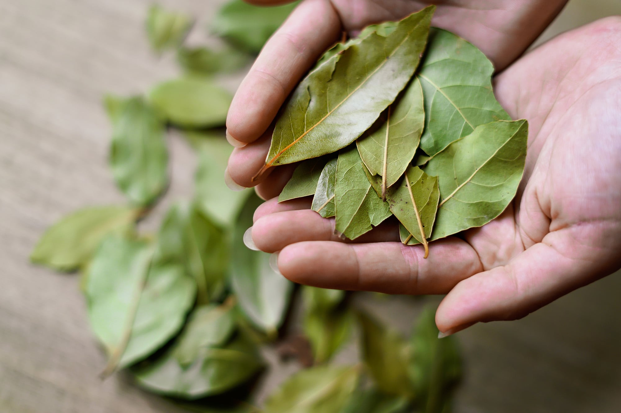 Se trata de una mezcla natural para limpiar y perfumar tu hogar