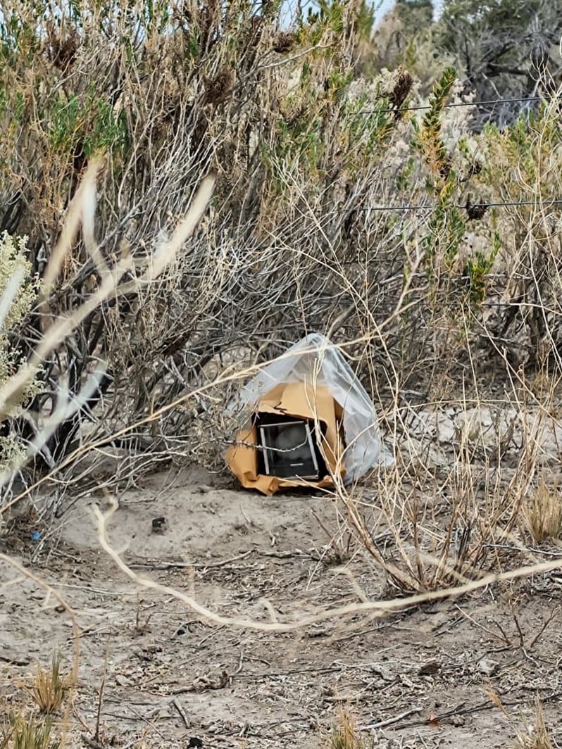 Una de las trampas para capturar roedores silvestres de interés ecoepidemiológico que el equipo del laboratorio nacional de referencia para hantavirus utilizó en el sur de Mendoza y Ushuaia