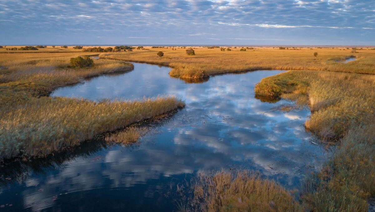La investigación se realizó en la meseta de Lisima, en el este de Angola (Foto: The Wilderness Project)