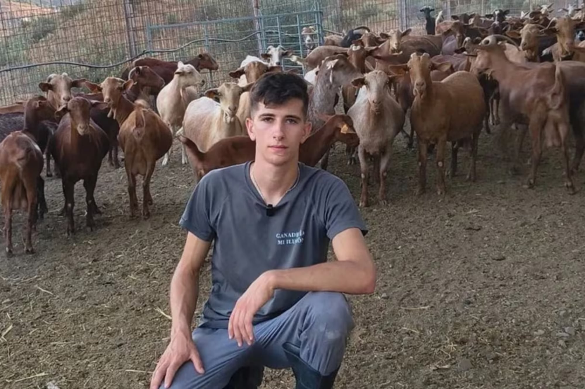 David Tomé González: