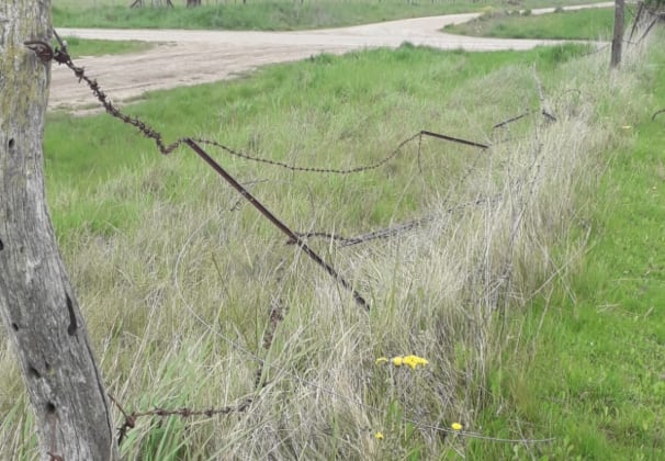 Productores rurales de Olavarría denunciaron cortes de alambrados en sus establecimientos, en medio de una ola de delitos rurales