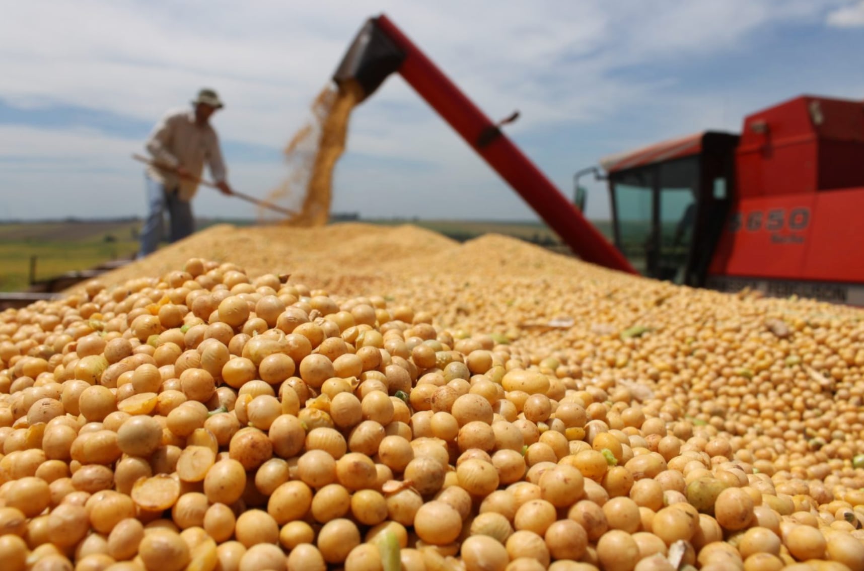 El campo necesita un campo abierto
