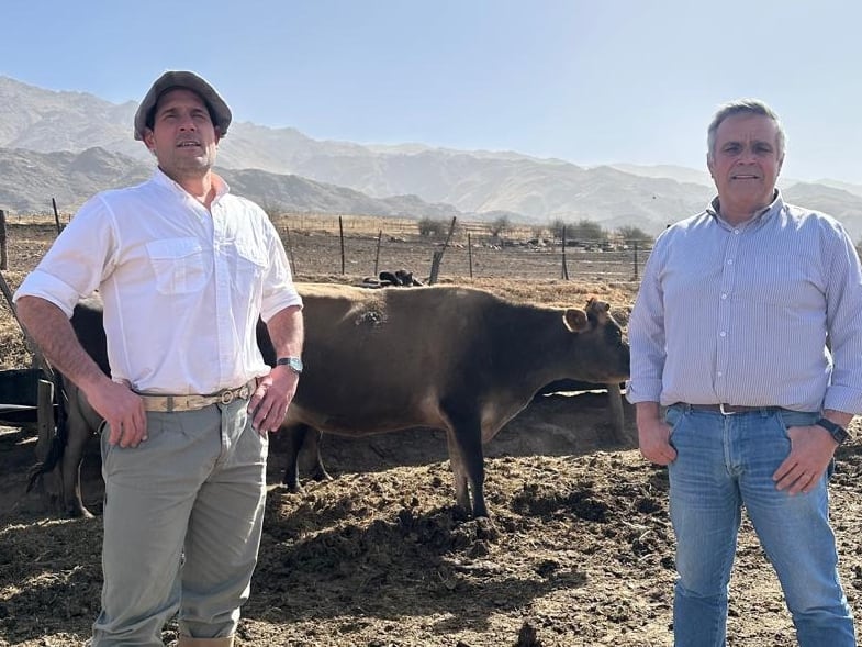 Una tradicional estancia se puso a faenar 1000 animales para vender carne al público