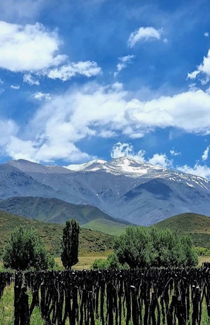 Las viñas más altas de Mendoza, a 2.200 metros de altura.