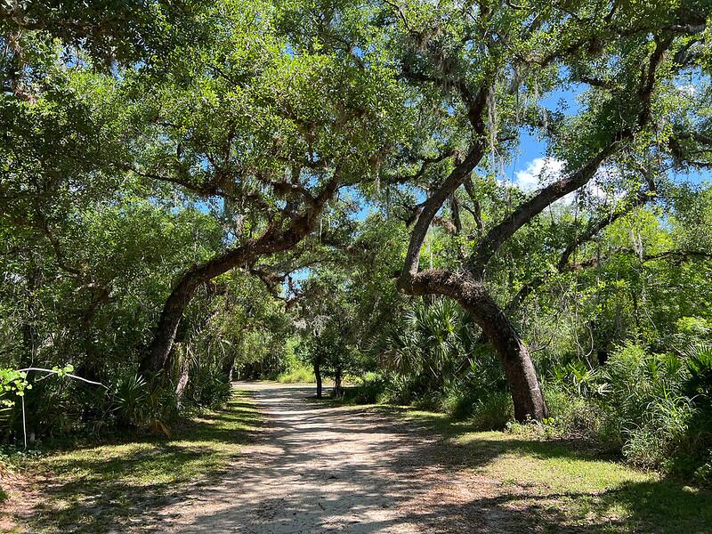 Morgan Park es una de las paradas imperdibles para los amantes de la naturaleza que visitan la ciudad de Arcadia (visitdesoto.com)