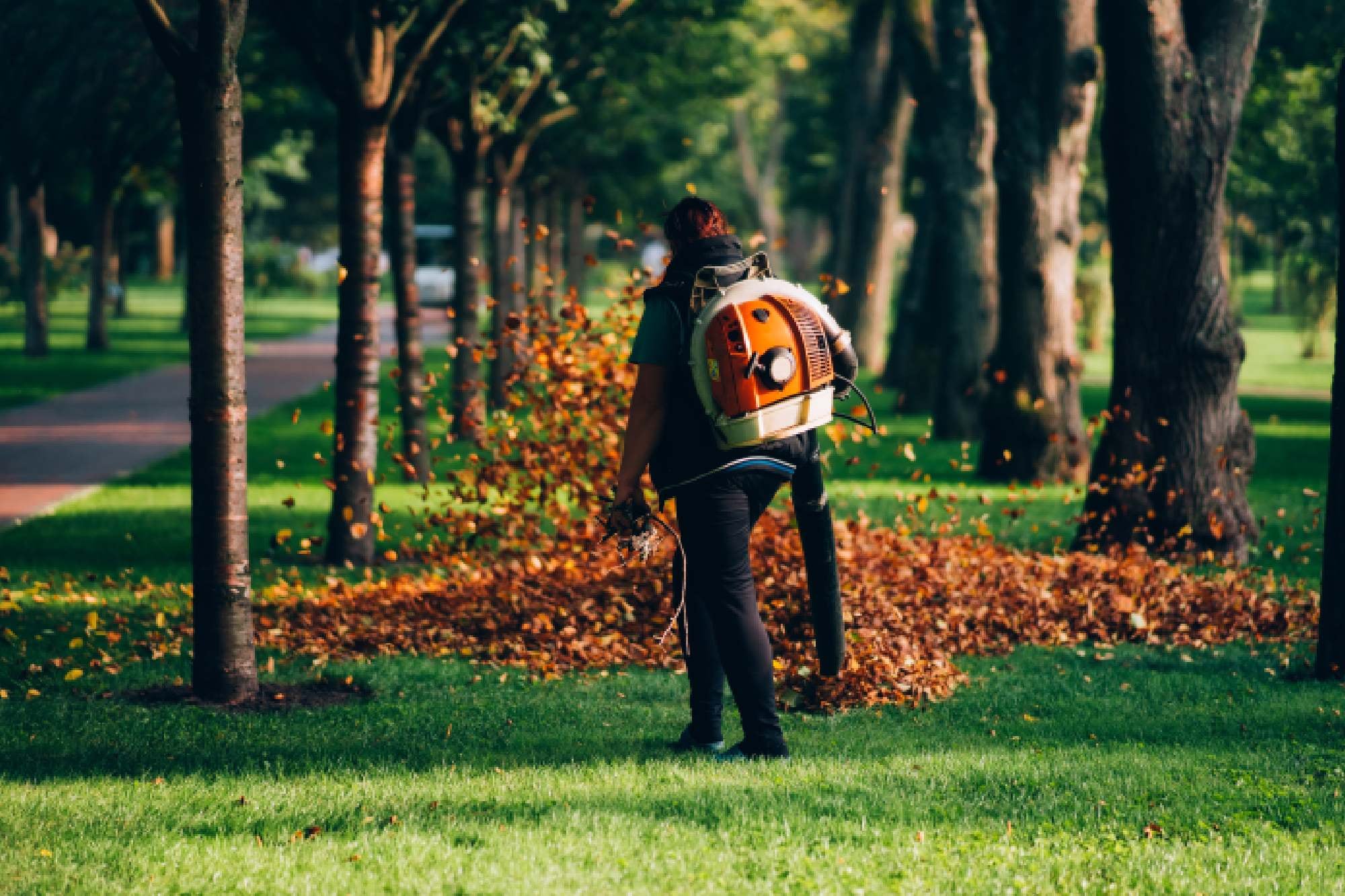 Durante 2020 los sopladores de hojas contaminaron en Pensilvania lo mismo que 10 millones de autos