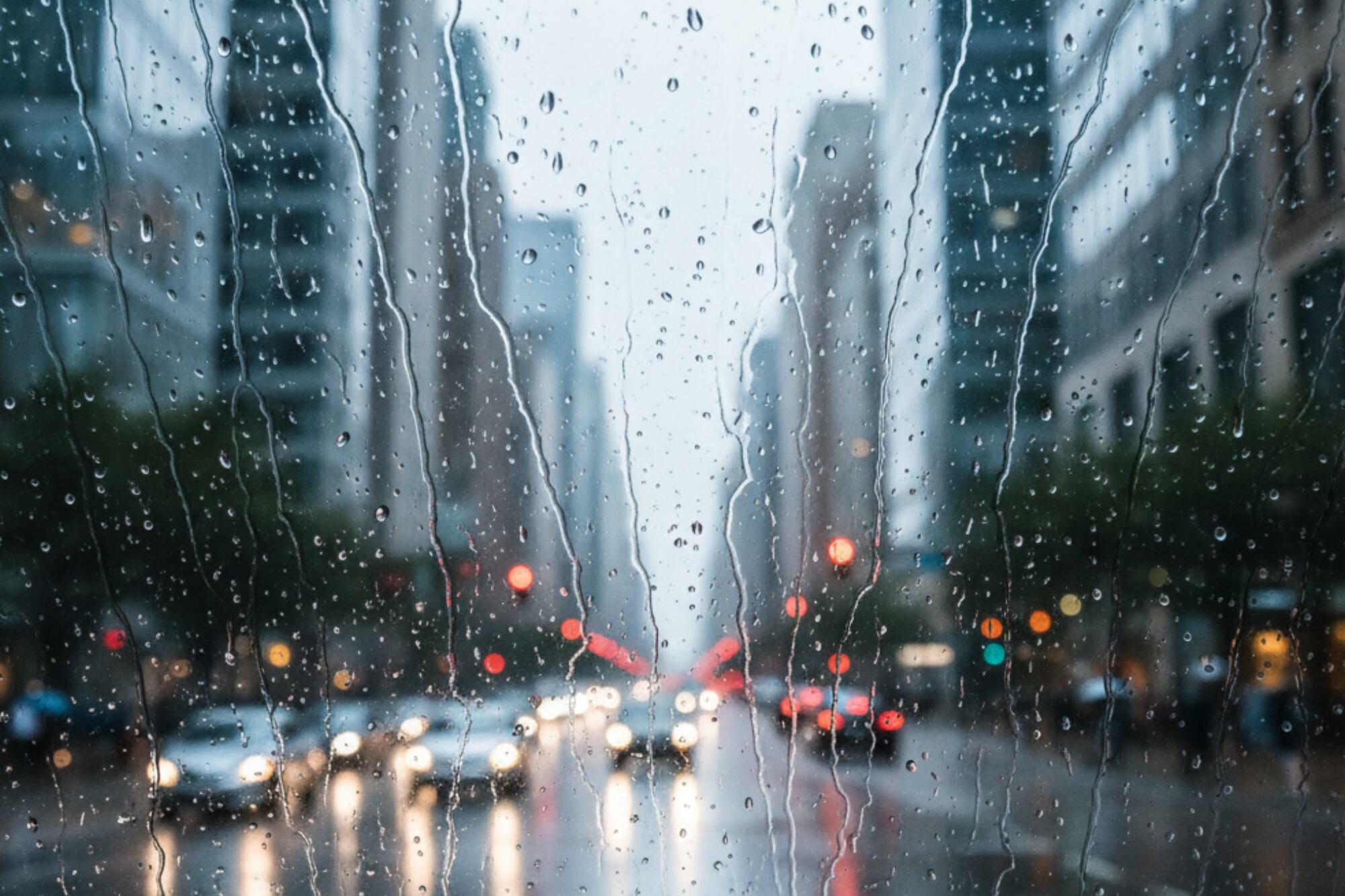 Fenómeno del Pacífico traerá lluvias torrenciales y ráfagas de 90 km/h a la Patagonia
