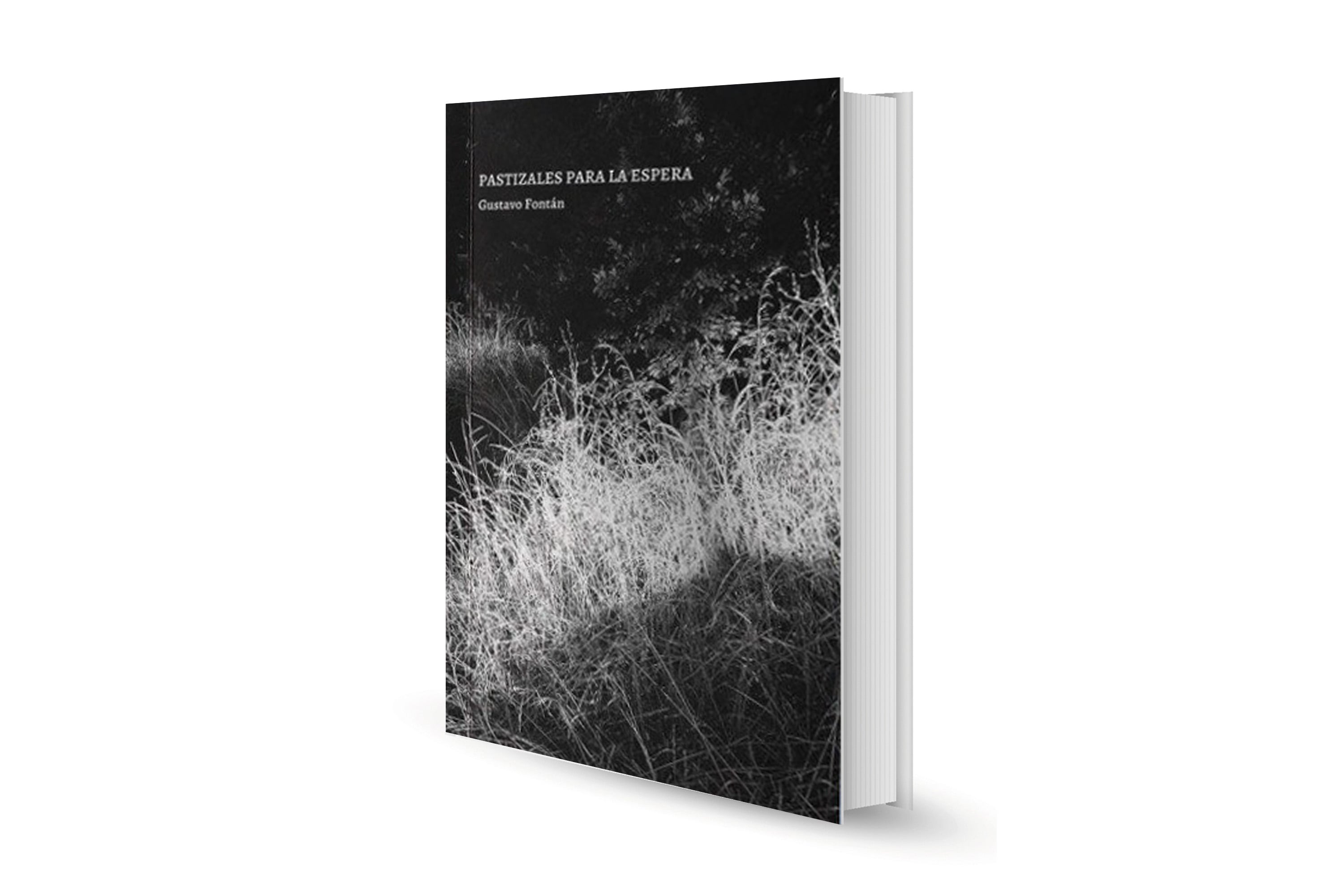 Reseña. Pastizales para la espera, de Gustavo Fontán