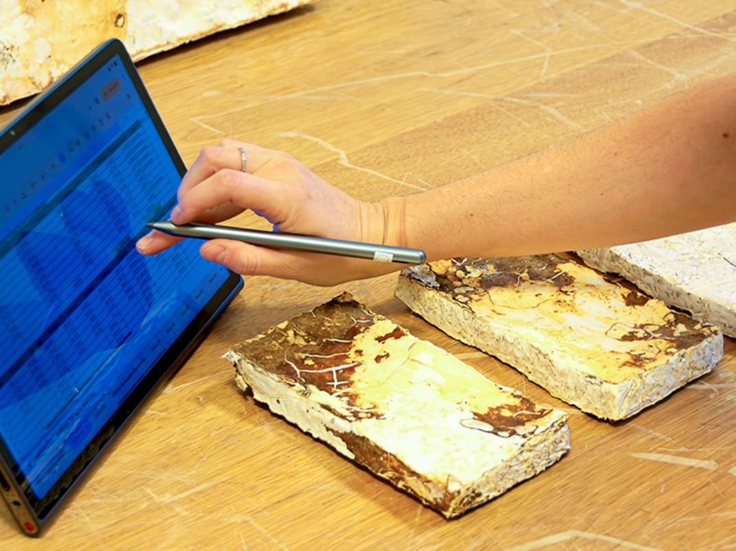 Además del desarrollo del biomaterial, el equipo analiza sus propiedades físicas, químicas y mecánicas para evaluar su potencial aplicación en distintos sistemas constructivos