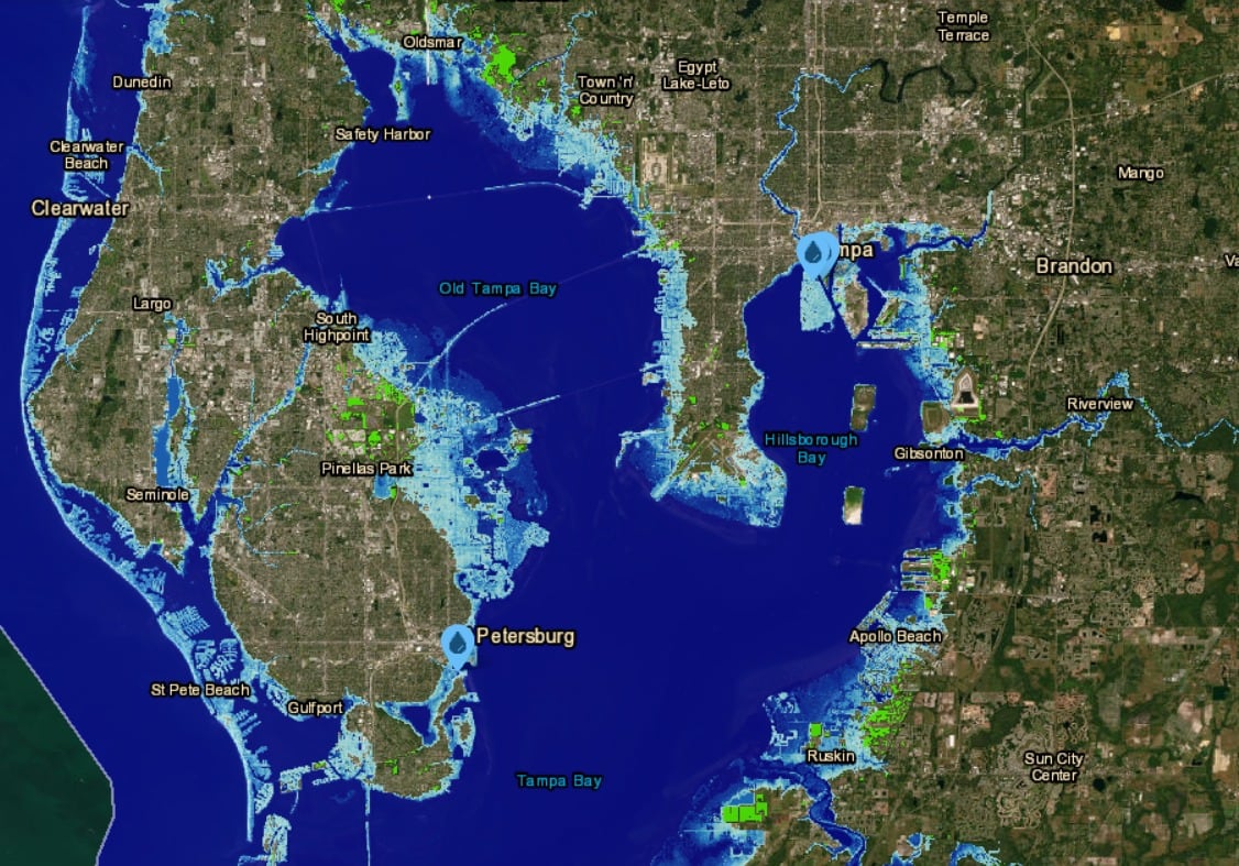 Todos los barrios costeros de la Bahía Old Tampa pasarían a formar parte de la flora marina del Golfo de México.