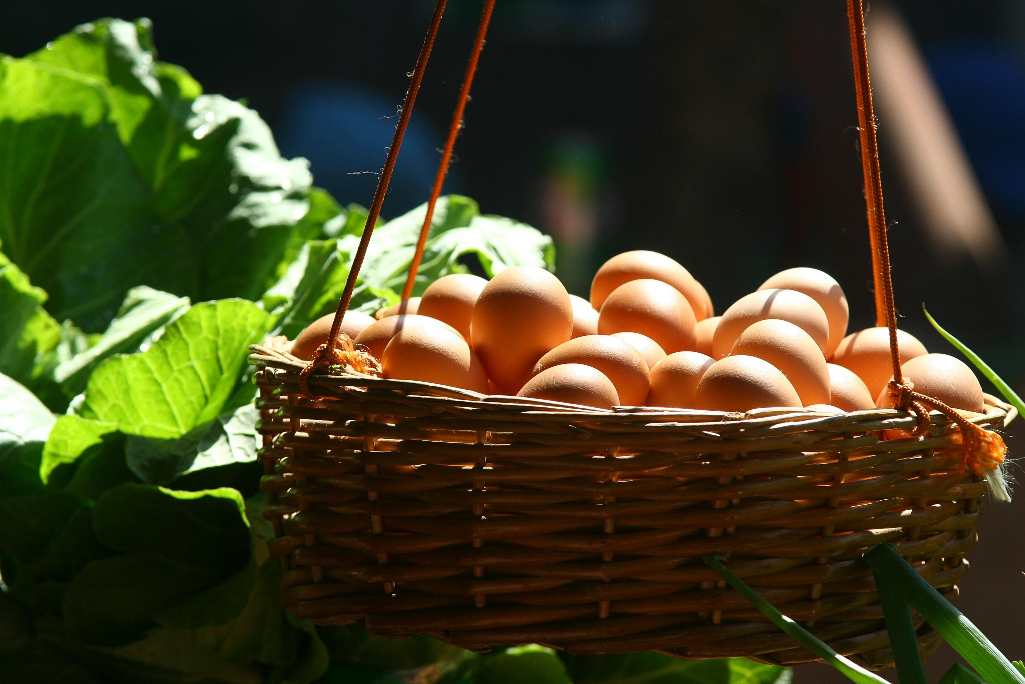 Los huevos son uno de los alimentos más elegidos para desayunar y evitar picos de glucemia