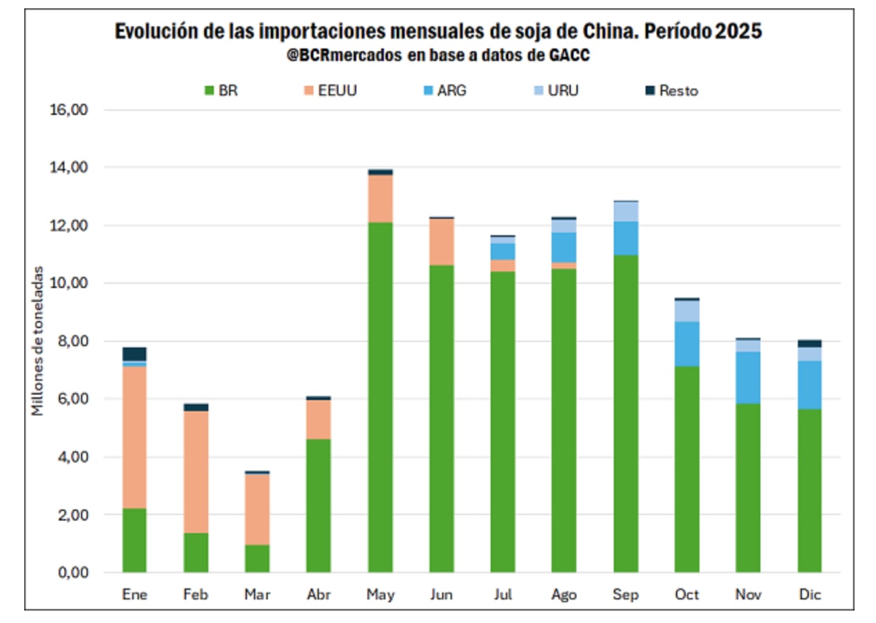 En 2025, Estados Unidos envió solo 17 millones de toneladas de soja a China, un 38% menos que el promedio de los últimos cinco años