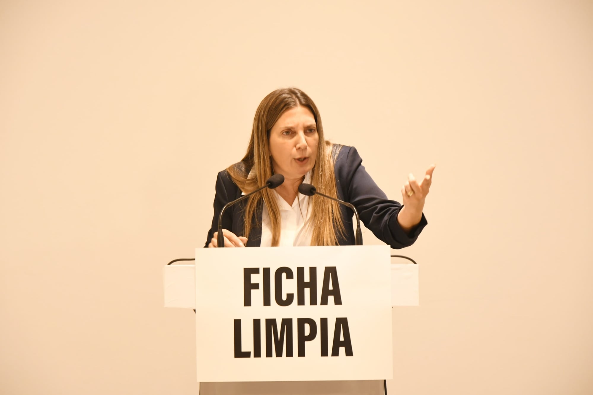 Conferencia de prensa de Silvia Lospennato