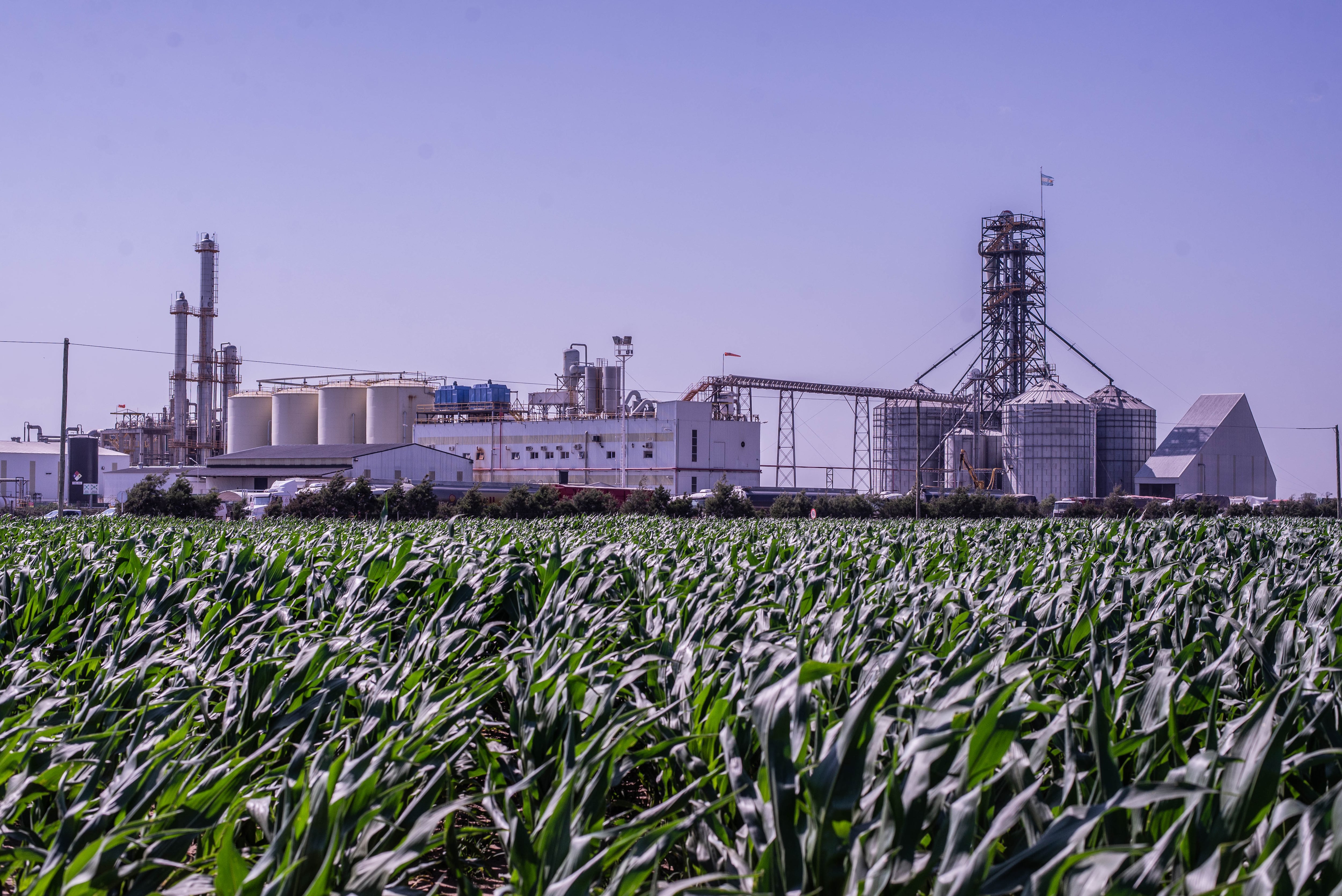 Inversión de US$70 millones: una empresa ampliará una planta de bioetanol y se entusiasma por una futura ley