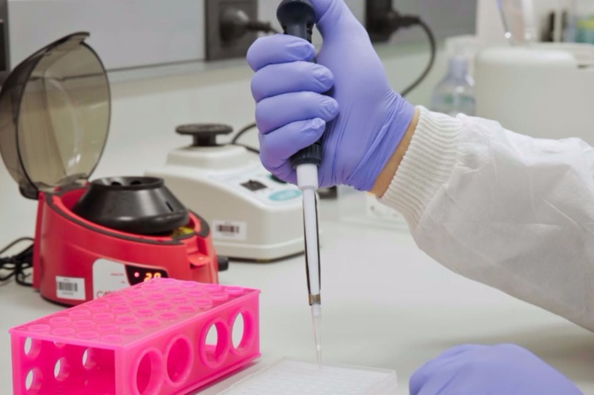 Las mutaciones de los genomas reales del SARS-CoV-2 fueron parte fundamental de esta teoría