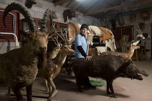 Un taxidermista revela mitos y verdades del oficio que volvió al primer plano con la serie Santa Evita