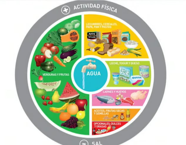 La guía vigente en el país se presentó en 2016