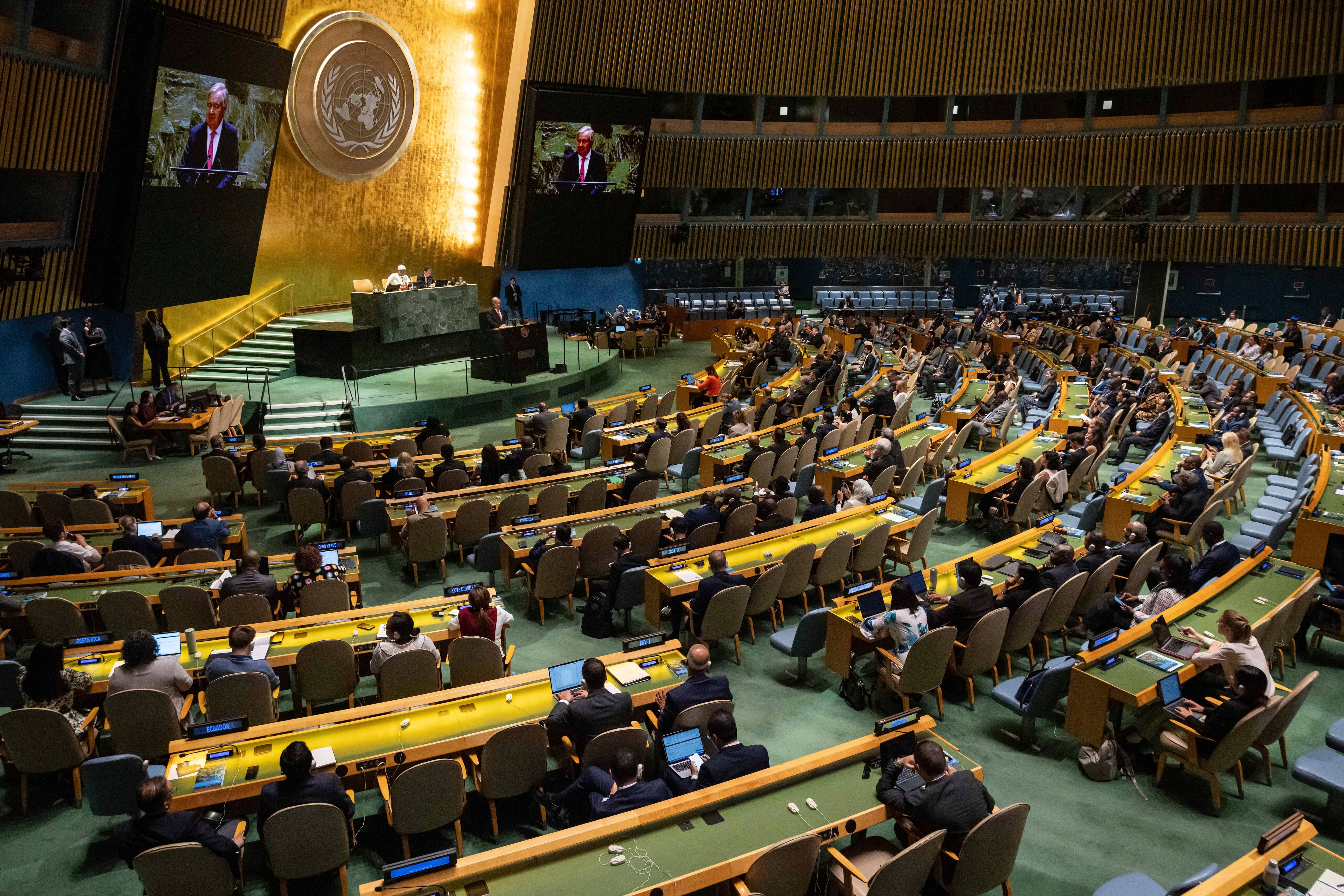 La Asamblea General de las Naciones Unidas aprobó el Día Internacional del Síndrome de Down en 2011 (AP Foto/Yuki Iwamura)