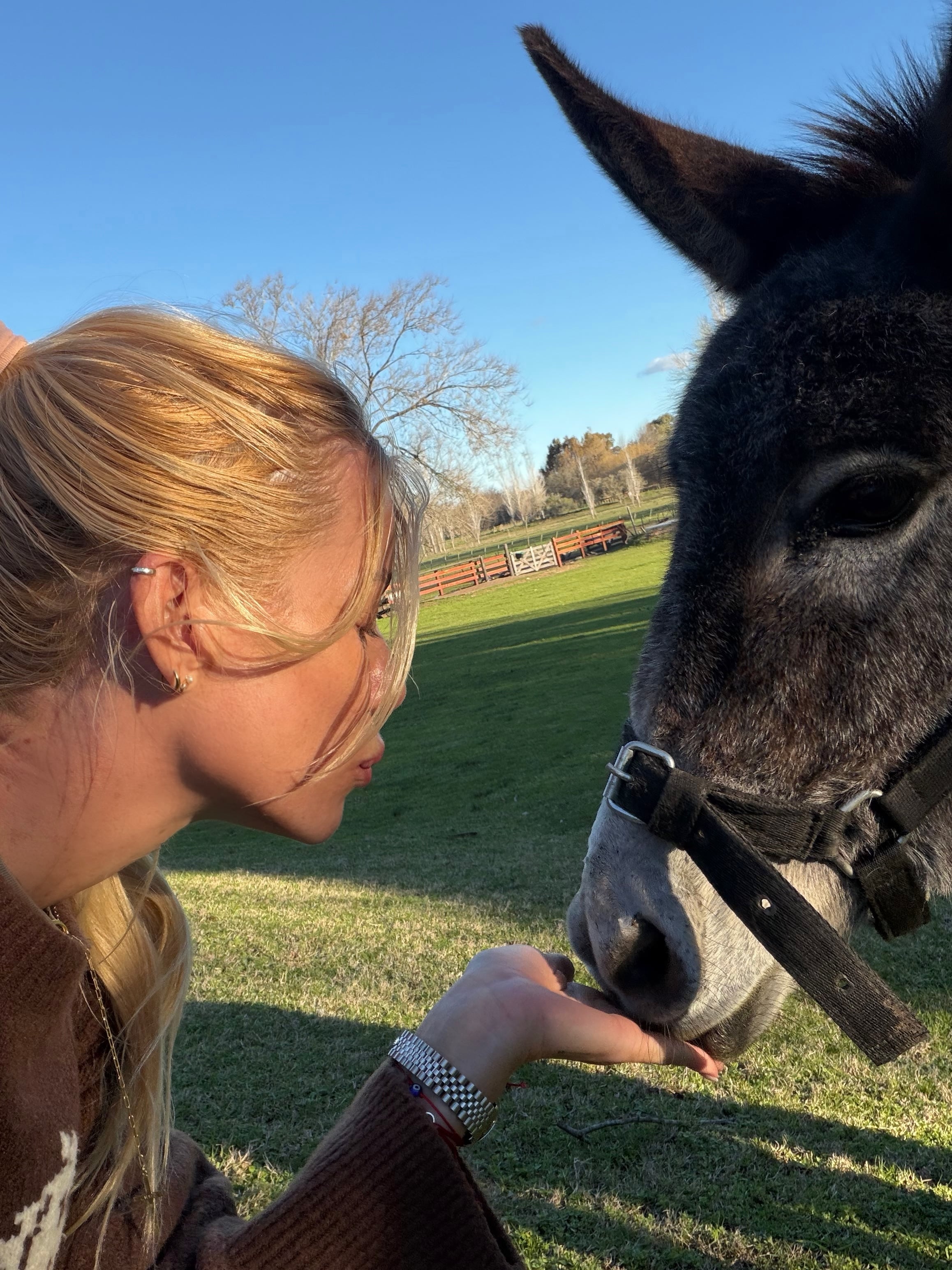 Nicole Neumann es protectora y rescatista de animales desde hace muchos año (Foto: Instagram @nikitaneumannoficial)
