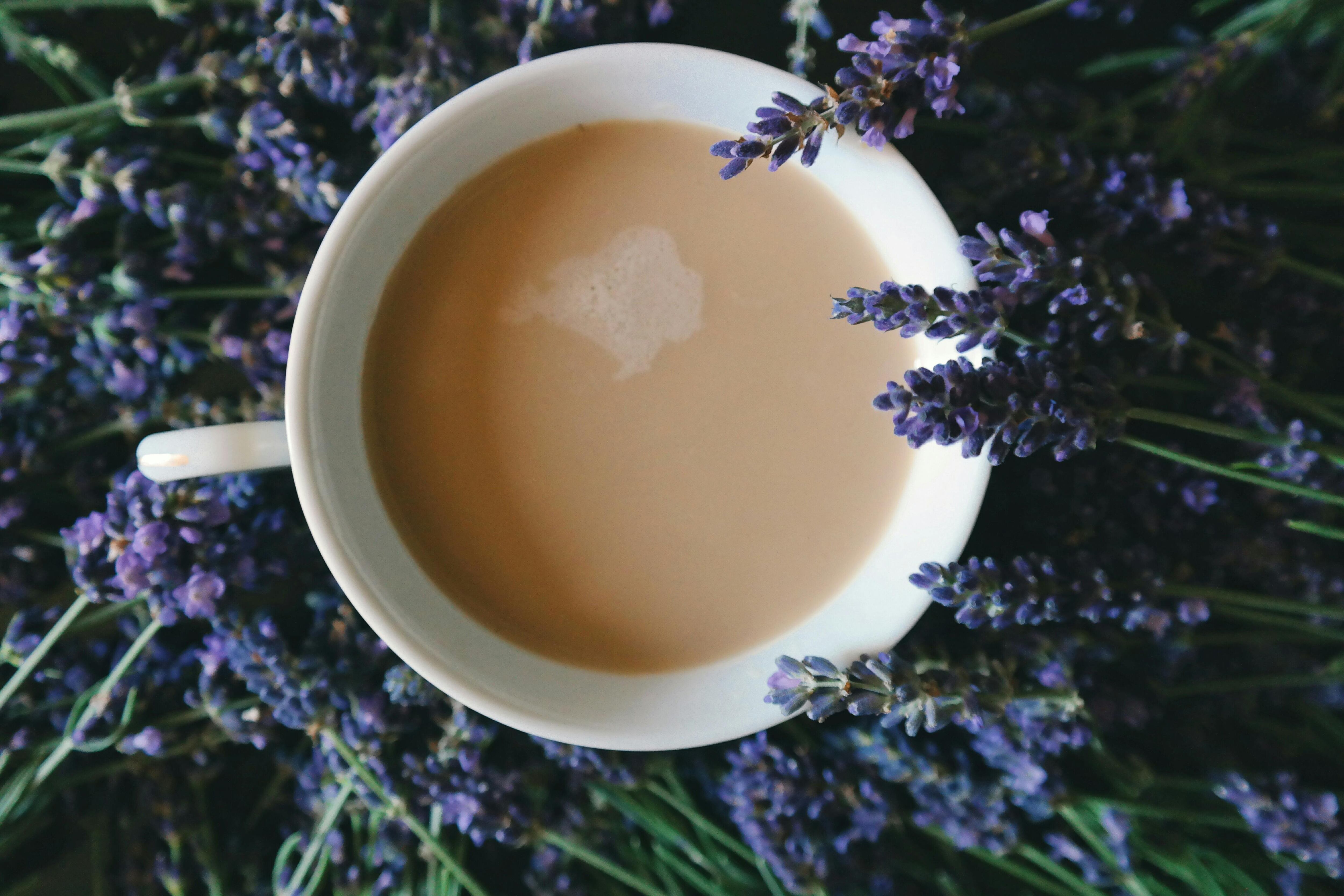 El té de lavanda alivia los dolores de cabeza y las migrañas (imagen ilustrativa)