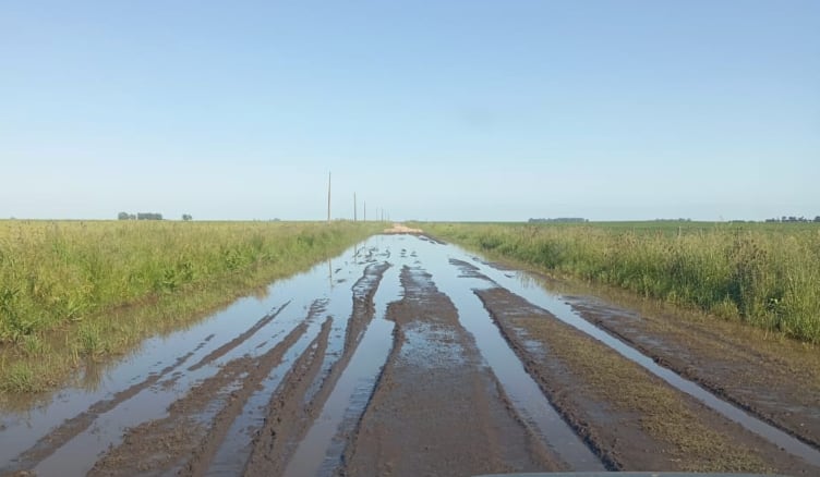 Productores de Necochea Recurren a la Justicia Por Tasas Viales