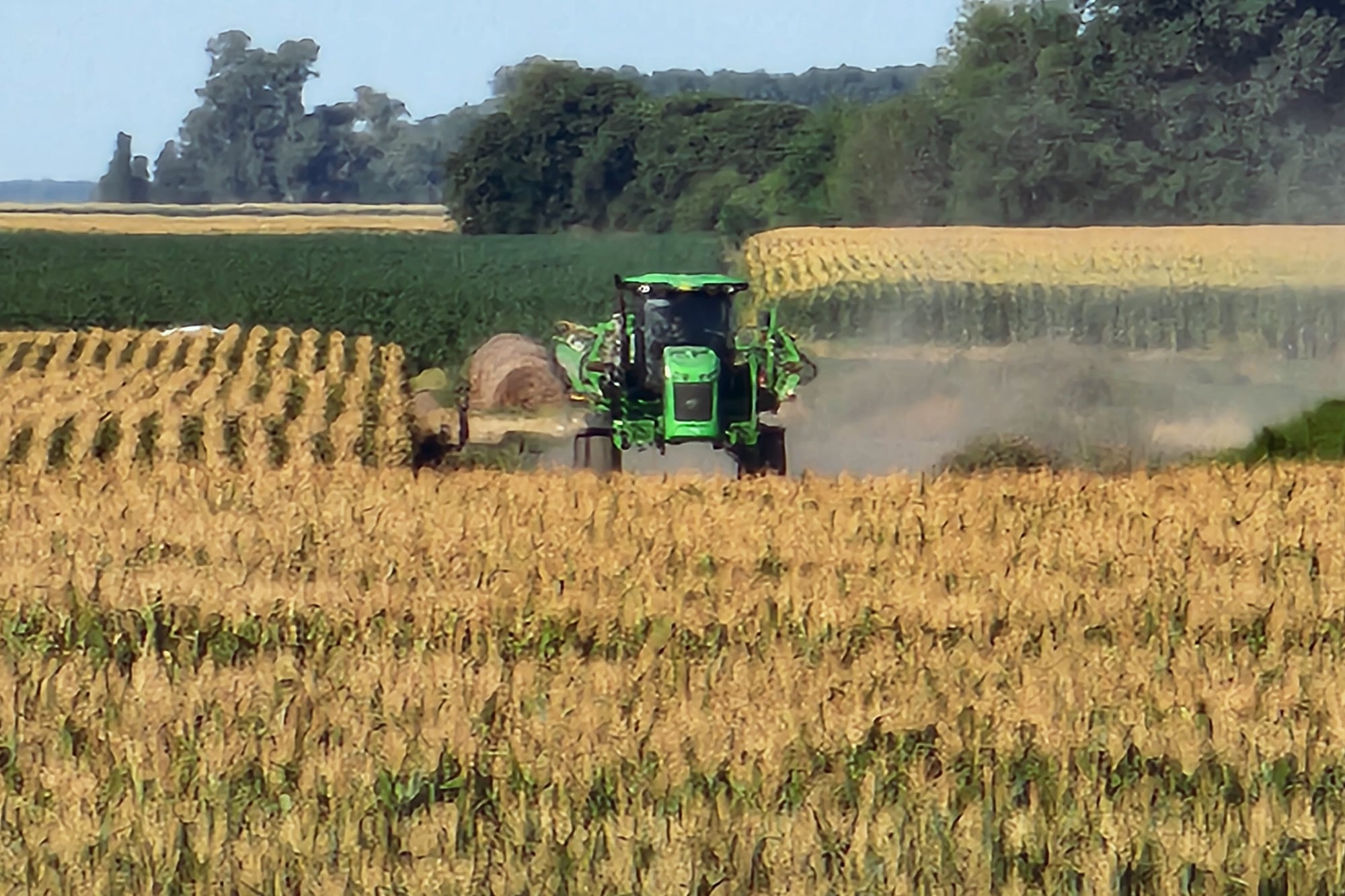 De sus 690 hectáreas, 630 se destinan a rotaciones de maíz, soja, girasol y, ocasionalmente, cebada, en un sistema 100% de siembra directa