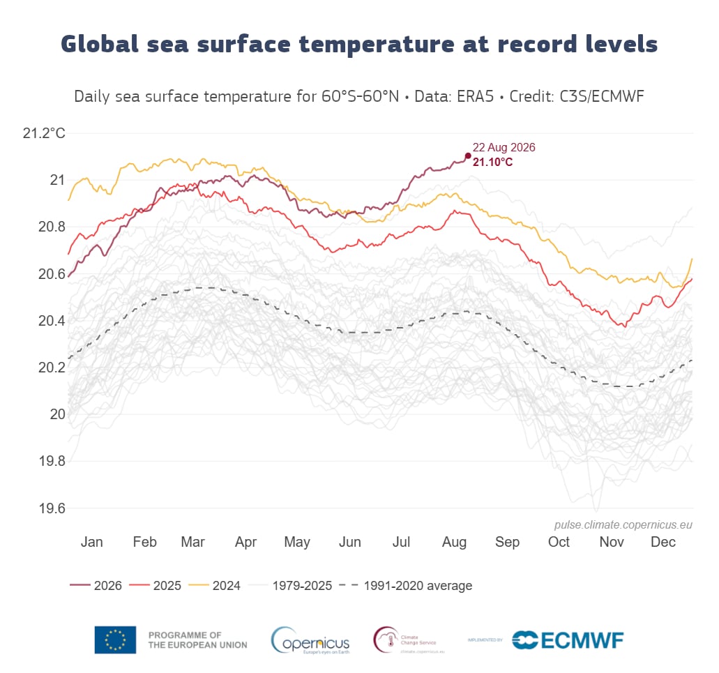 La temperatura diaria promedio de la superficie del mar alcanzó los 21,1°C el 22 de agosto y superó el récord registrado en marzo de 2024