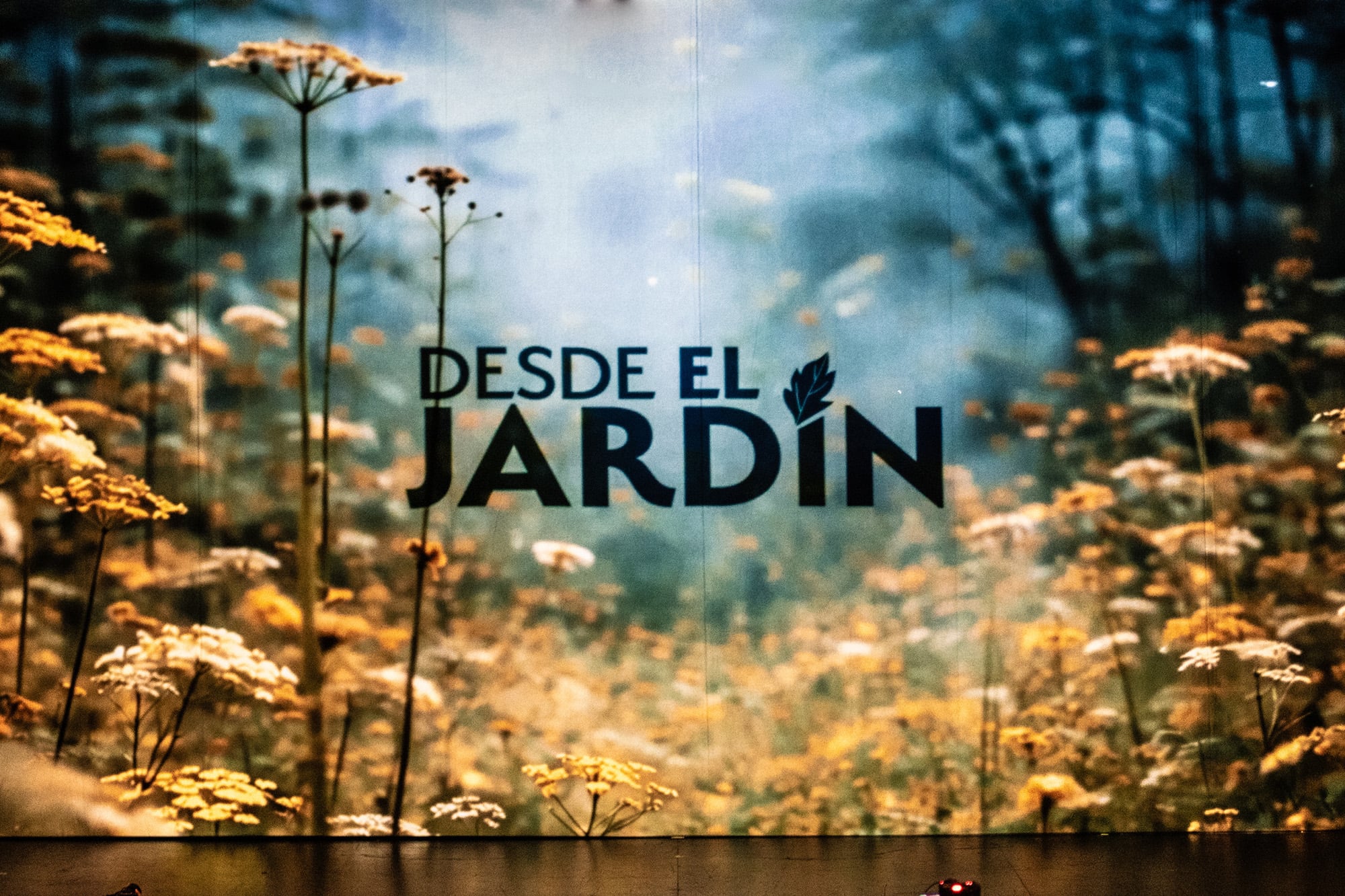 Flyer y telón de fondo de la obra Desde el Jardín