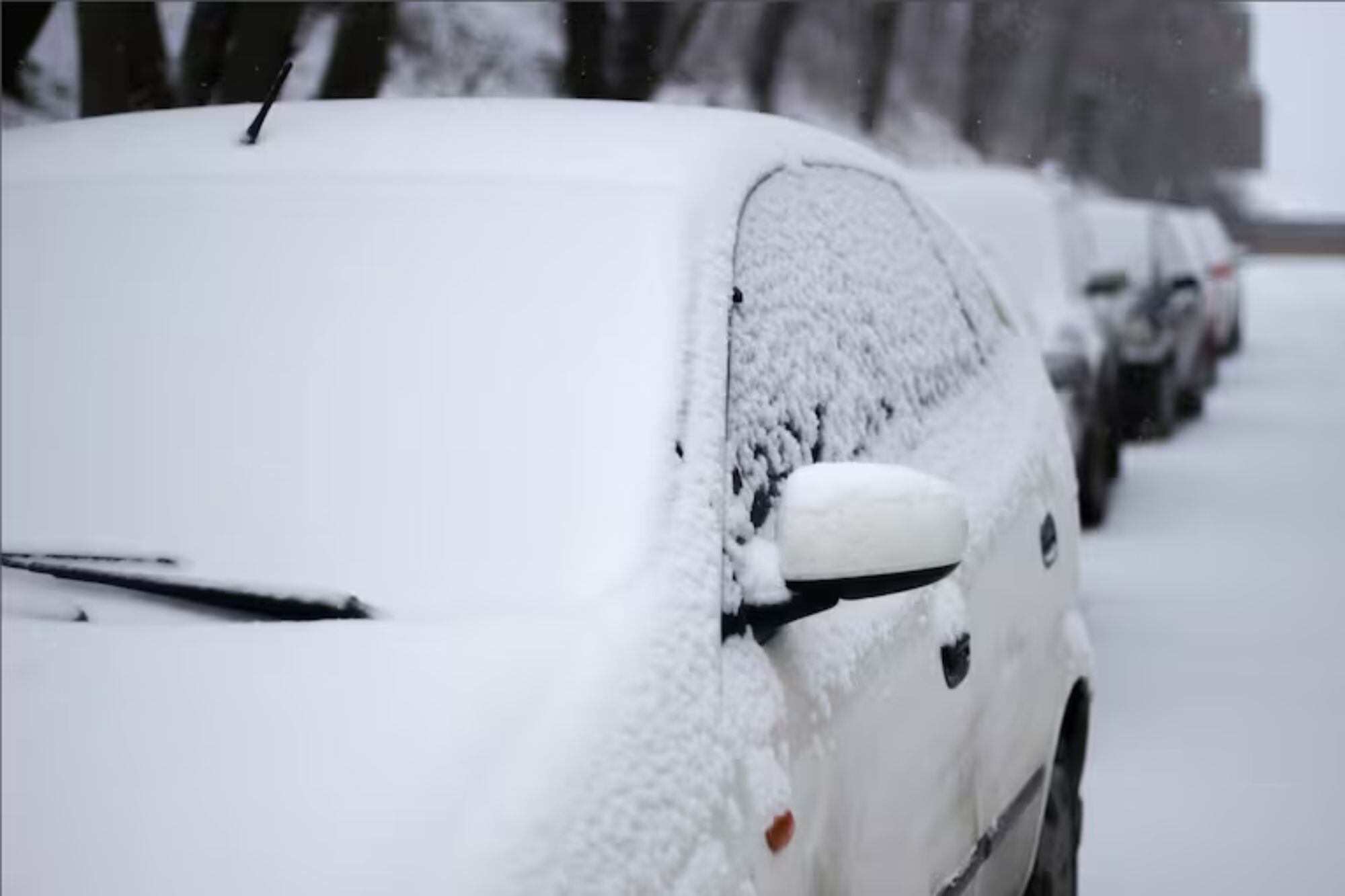 Se estima que puede llegar a caer nieve durante el fin de semana en Florida