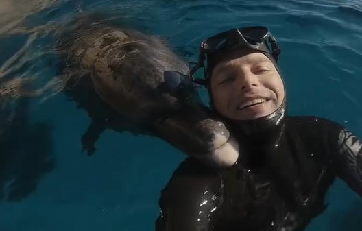 El delfín se comporta como si fuera una mascota (Foto: @johnnie_boe_)