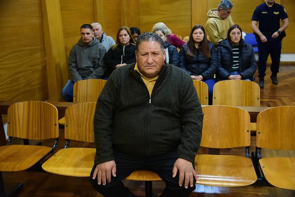 Condena al dueño de los dogos: “Era consciente del peligro que creaba al dejarlos sin medidas de seguridad”