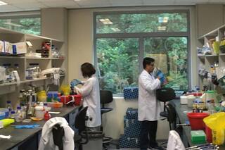 Cómo viven los argentinos en Singapur, "la Suiza de Asia"