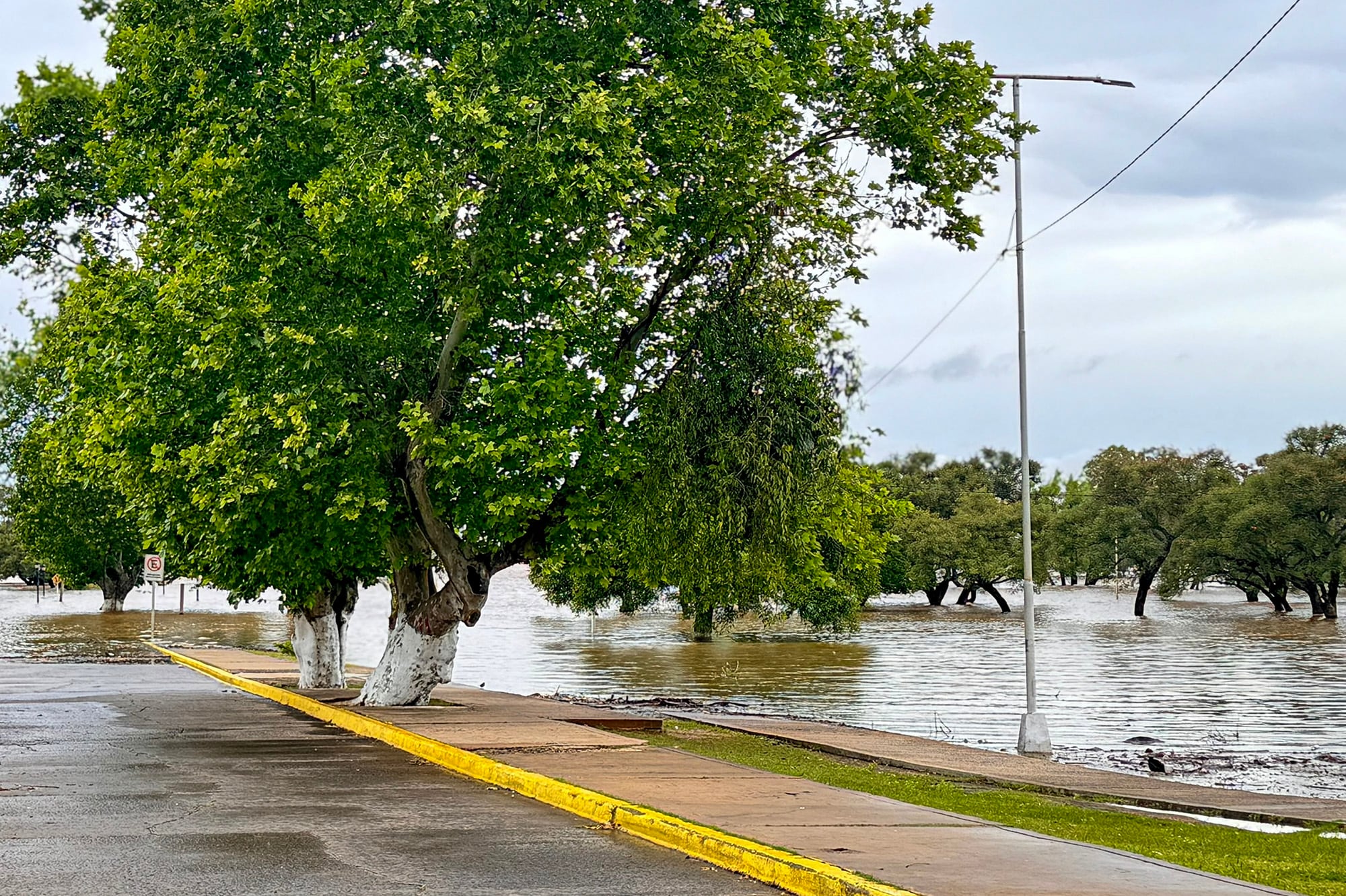 Alerta amarilla por tormentas y granizo en Buenos Aires; crecidas en el Litoral