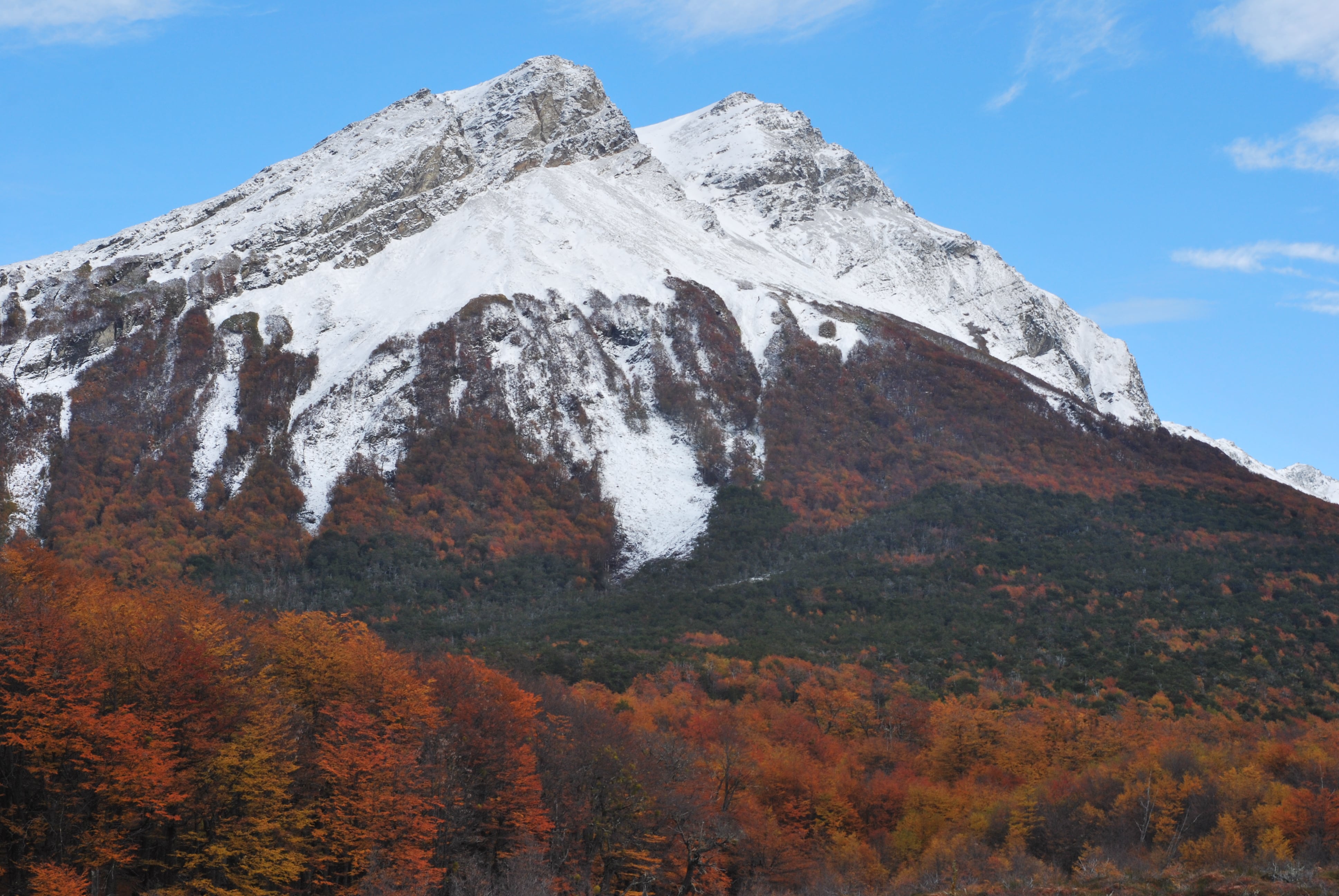 Los 40 kilómetros de senderos en el Parque Nacional Tierra del Fuego invitan a recorrer en esta época donde los tonos de las lengas son un espectáculo