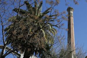 El misterio de las 80 chimeneas sin humo escondidas en Buenos Aires