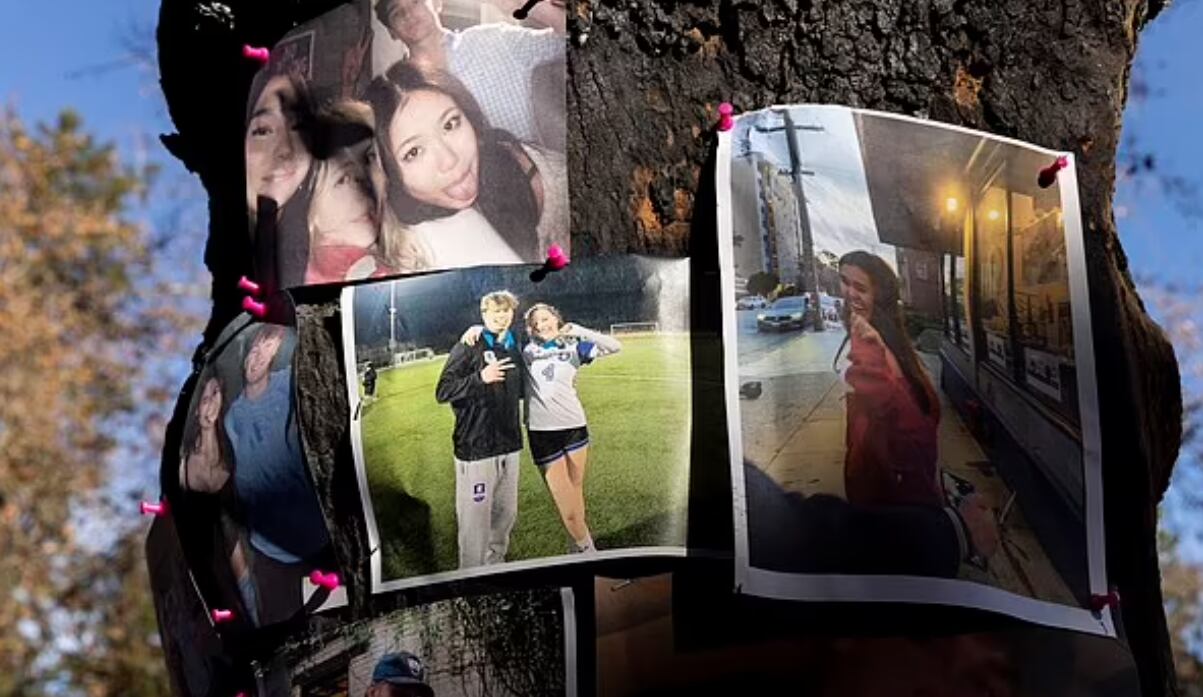 Fotos de Tsukahara y sus amigos están colgadas en un árbol cerca del lugar del accidente