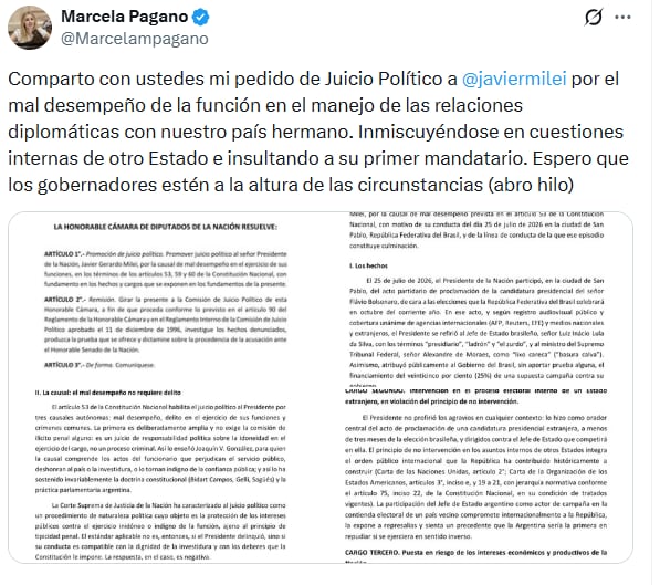 Pagano compartió el proyecto vía X