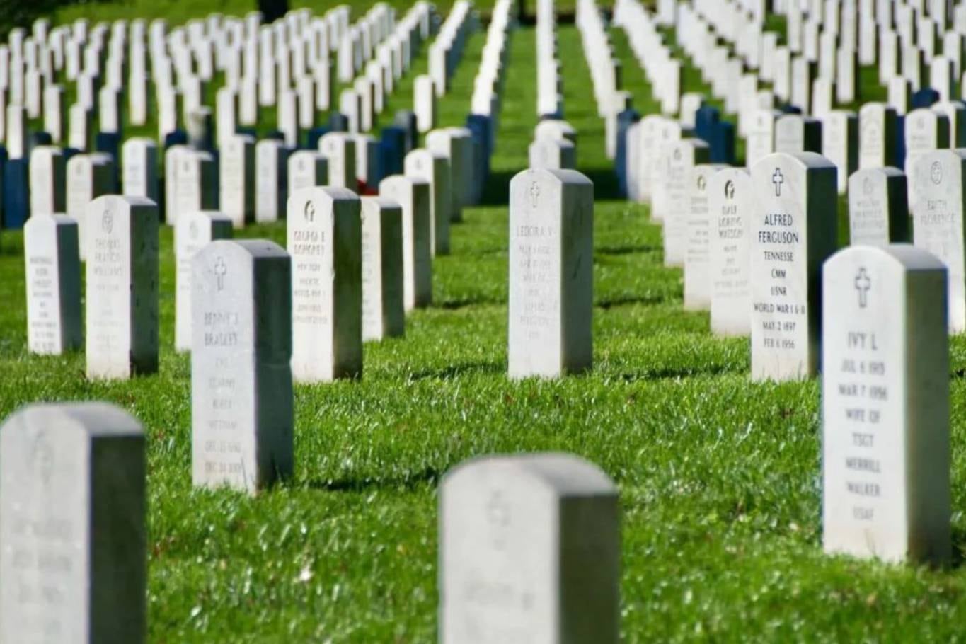 La película Gardens of Stone en la que participaban Gian-Carlo Coppola y Griffi O'Neal se estaba grabando en el Cementerio Nacinal de Arlington, en el estado de Virginia, cerca del río donde se produjo la tragedia