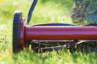 Claves para elegir una máquina de cortar césped