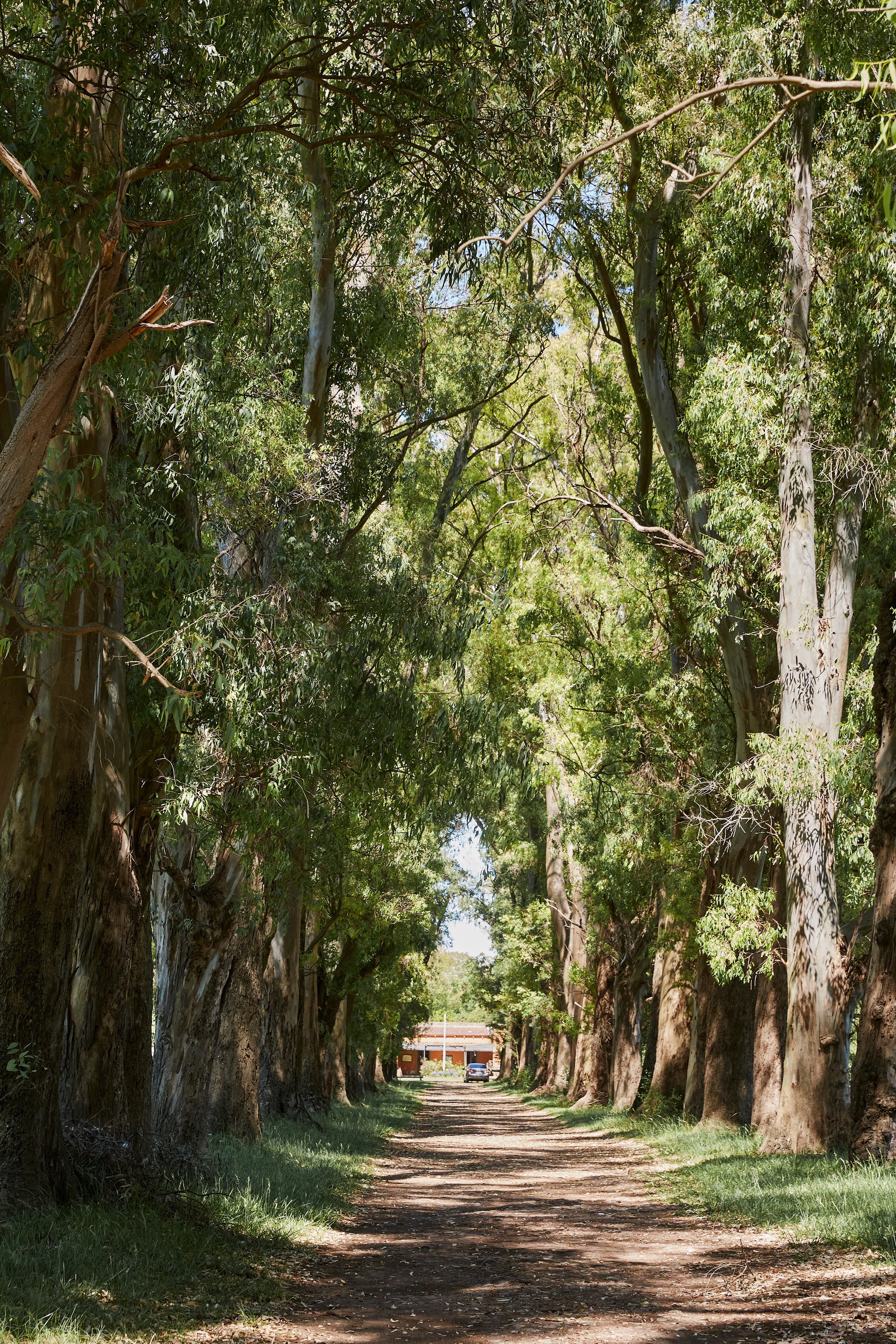 La Posta del Camino Real es un predio de 400 metros de parque con un casco de principios de siglo XX que ofrece pasar el día, comer y descansar