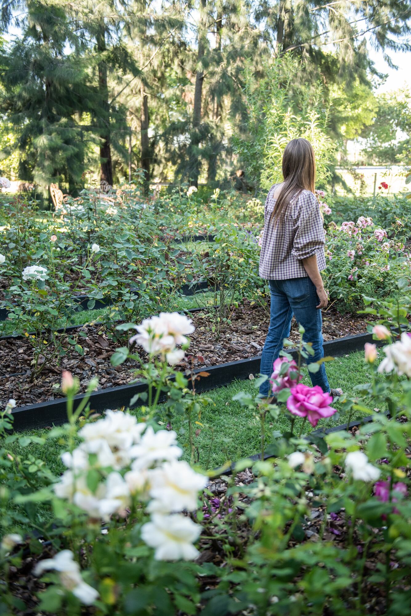 El rosedal, con 120 rosales diferentes.
