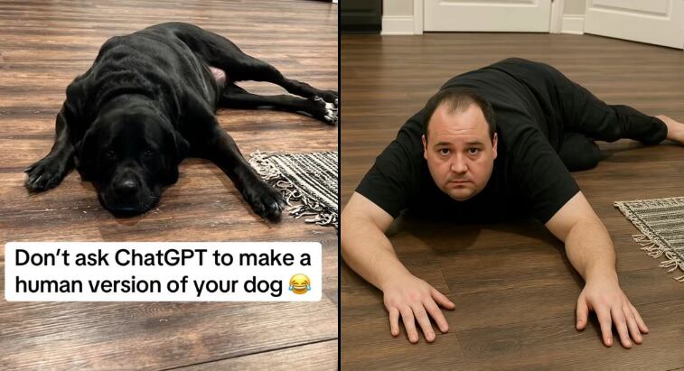 Crédito: Olivia Moore a través de X.