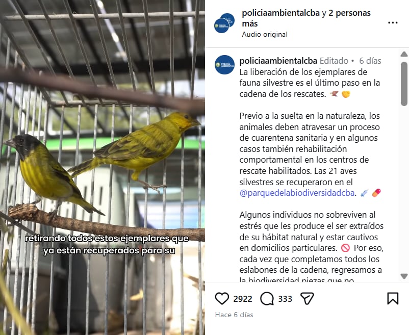 El informe de la Policía Ambiental