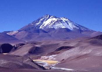 El ratón orejudo andino habita desde el nivel del mar hasta los picos de la Cordillera de los Andes en Chile y la Argentina