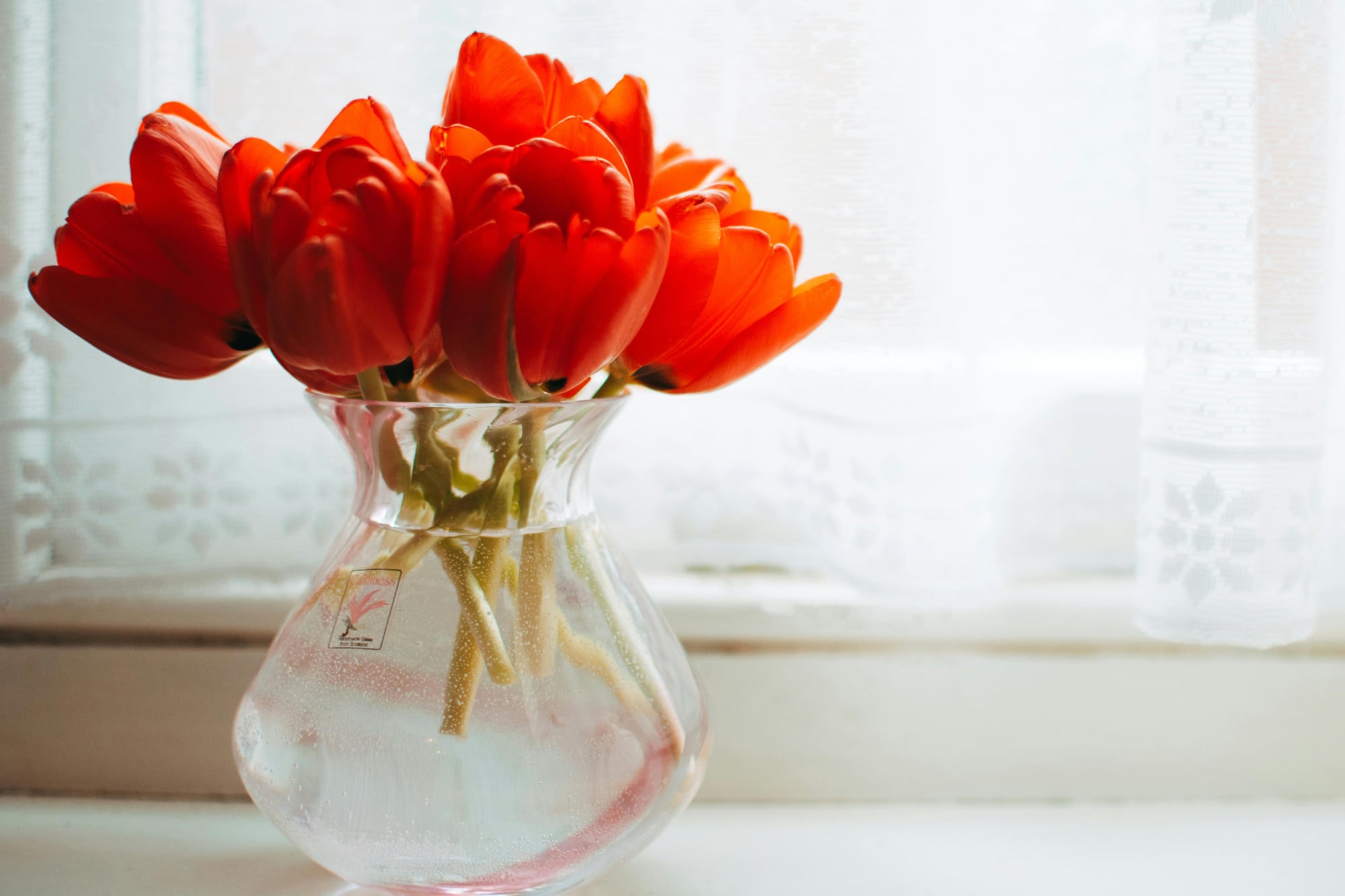 Seis reglas definitivas para que las flores duren más tiempo